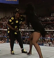 New Fringe 008.jpg (1.09 MB)