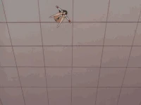 The White Delmo leader drops down on to Aika...