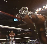 New SS 005.jpg (872 KB)