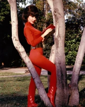 8142265 orig.jpg (289 KB)