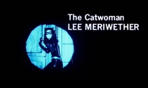Catwoman introduced at the beginning of the movie