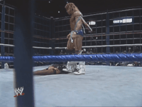 SherriStep25.gif (4.05 MB)