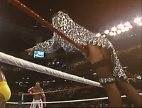 New SS 008.jpg (1.18 MB)