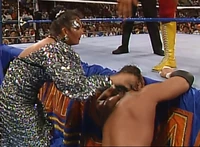 New SS 003.jpg (1.79 MB)