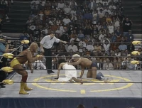 Beach03.gif (5.64 MB)