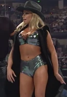 Wrestlemania 16: In the ring