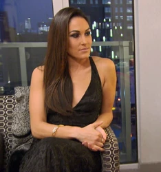 The evil Brie Bella on Total Divas