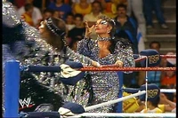 Sensational Sherri at Summerslam 89