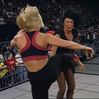 Madusa003.jpg (1.15 MB)