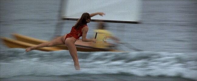 Barbara-carrera-never-say-never-again-007-celebrity-bikini-see-through-hot-...