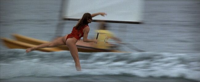 Barbara-carrera-never-say-never-again-007-celebrity-bikini-see-through-hot-posing-hot-10