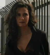 Screenshot 5166.png (731 KB)