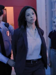 Dr. Crawford's Arrest.jpg (48 KB) Allison handcuffed and arrested