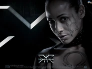 Promotional Material for Callisto.