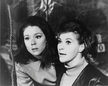 Pam davy.jpg (166 KB)