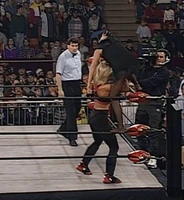 Madusa008.jpg (1.04 MB)