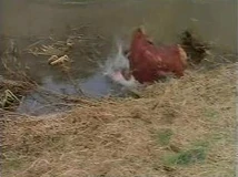 A humiliating end...