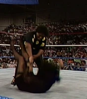 New Fringe 020.jpg (750 KB)