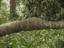 Python Demon (Journey To The West) | The Female Villains Wiki | Fandom