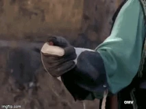 Lisa Gaye west.gif (3.7 MB)