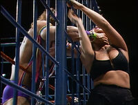 Warrior001.jpg (1.46 MB)