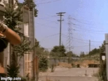 2nldbd.gif (2.82 MB)