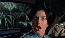 Mtdn114.jpg (137 KB)