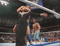 Piper10.gif (9.62 MB)