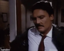 Randi Brooks hammer20.gif (2.9 MB)