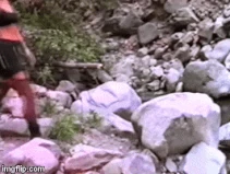 2nld5m.gif (2.92 MB)