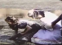 Screenshot 40619.jpg (61 KB)