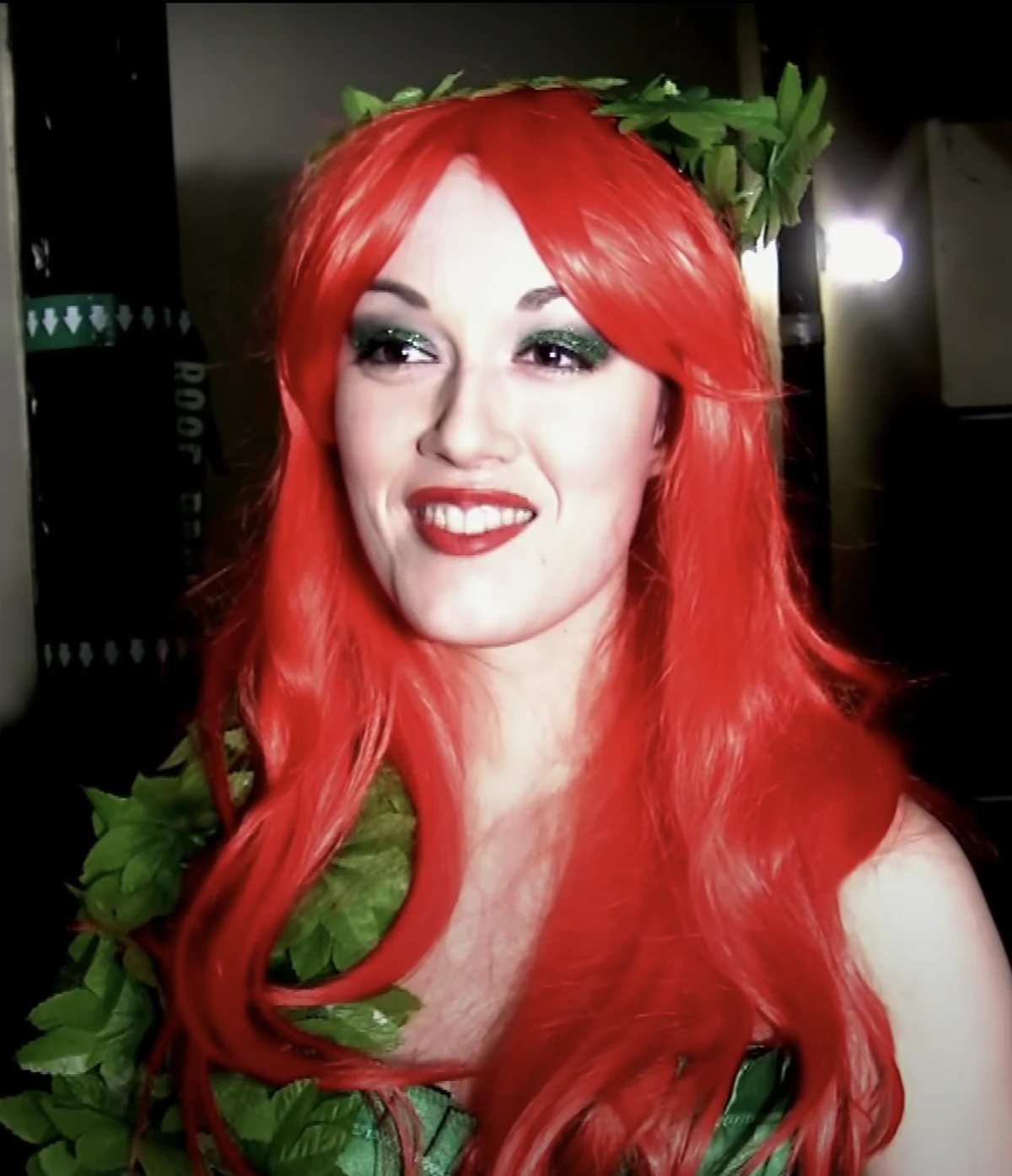 Poison Ivy (Batman vs Poison Ivy) The Female Villains Wiki Fandom