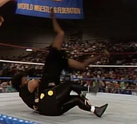 New Fringe 018.jpg (995 KB)