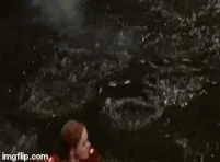 2bz9s6.gif (1.37 MB) « AAAAAAAAAAAaaaaaaaaah... ! »