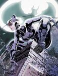 Catwoman (DC Comics) - Last Edited: 2024-09-11