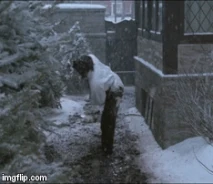 1zmx53.gif (2.67 MB)