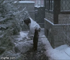 Alice Ribbons Home Alone 3 The Female Villains Wiki Fandom