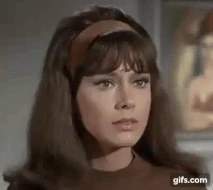 Julie Gregg bewitched12.gif (1.08 MB)