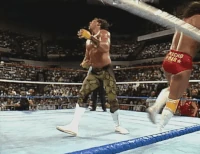 Brutus02.gif (7.56 MB)