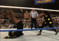 New Fringe 006.jpg (1.37 MB)