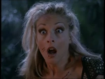 PDVD 104 (2).jpg (150 KB)