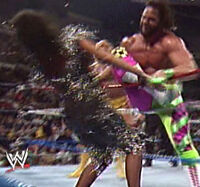 013SHERRI.jpg (390 KB)