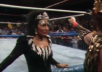 Piper002.jpg (1.31 MB)