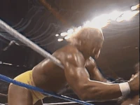 SNME03.gif (4.41 MB)