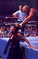 IMG 3233.jpg (56 KB) The villainous Sensational Sherri frequently battled Hulk Hogan