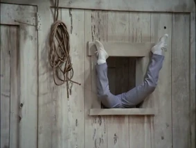 Window 5.png (394 KB)