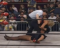 Madusa014.jpg (961 KB)