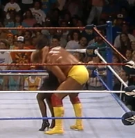 New Fresno 014.jpg (975 KB)