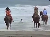 Screenshot 17857.png (713 KB)