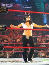 Traci Playboy Bunny.jpg (335 KB) Traci as a villainous Playboy Bunny